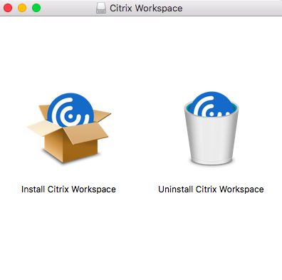citrix workspace for mac download